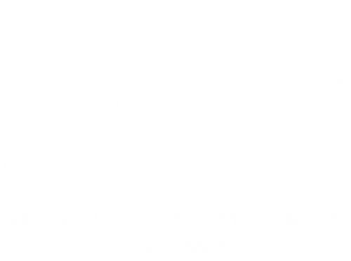 ZMEC White Logo